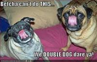 Double Dog Dare Marathon - September 25, 2012