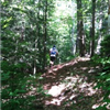 The Greenfield Trail Races