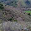 Tamalpa Headlands 50K