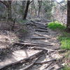 Cedar Ridge 3