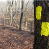 South Mountain Reservation Mayapple Ultras