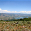 skyline view