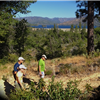 Redding Resolution Runs