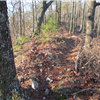 Another Ridge Line