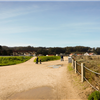Crissy Field