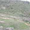 San Diego 50 and Trail Marathon