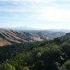 Golden Hills Marathon