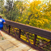 Bridge Crossing Along Mopac Rail Trail