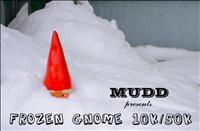 Frozen Gnome - January 13, 2013