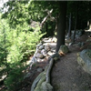 The Greenfield Trail Races