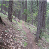 Day Ranch Trail