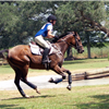 BCM Morring Farm