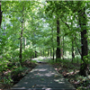 Lost Brook Trail Race 