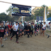 Bandit Start line