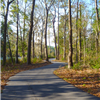 paved path