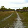 Different view of trail