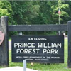 Prince WIlliam