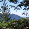 PCT Bunker to Bonneville