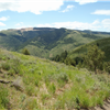 Foothills 50K Frenzy