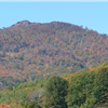 Beech Mountain Goat