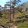Lost Sierra Endurance Run