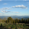 Foothills 50K Frenzy