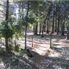 Boggs Mountain Boogie