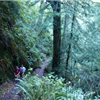 Stinson Trail Run
