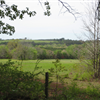 Whispering Pines Trail Run