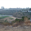course