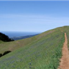 Tamalpa Headlands 50K
