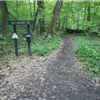 Forest Glen Trail Run