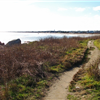 Resolution 5k Beach & Trail Race