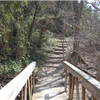 Cedar Ridge 6