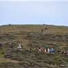 Golden Gate Trail Run 