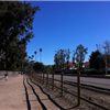 Rohring Trail 2
