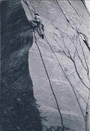 John Arnold
