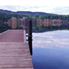 Lake Padden Trail Half