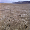 Salt Flats 100