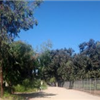 Rohring Trail