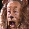 meow3