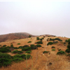 One of the trails going up the Mountain (you will go down and up)