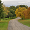 Mendon Trail Run