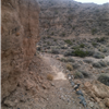 Trail