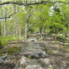 course