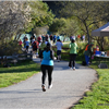 runners leaving start