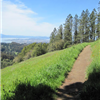 trail