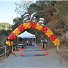 Sierra Nevada Endurance Run