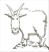 Old Goats - March 23, 2013