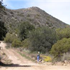 Fire Road